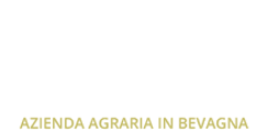 Azienda Agraria Cariani